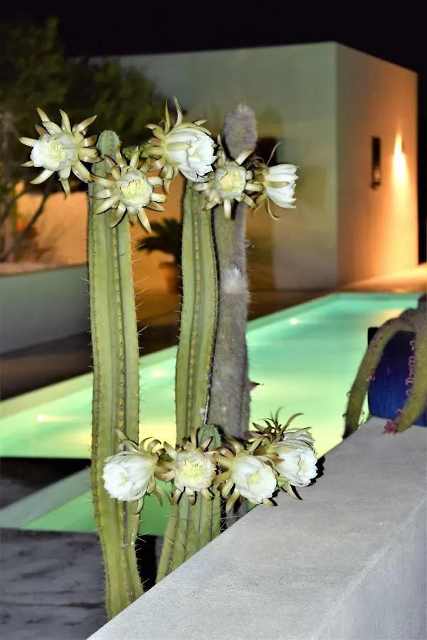 Cansantidesmonestir La Mola Holiday home