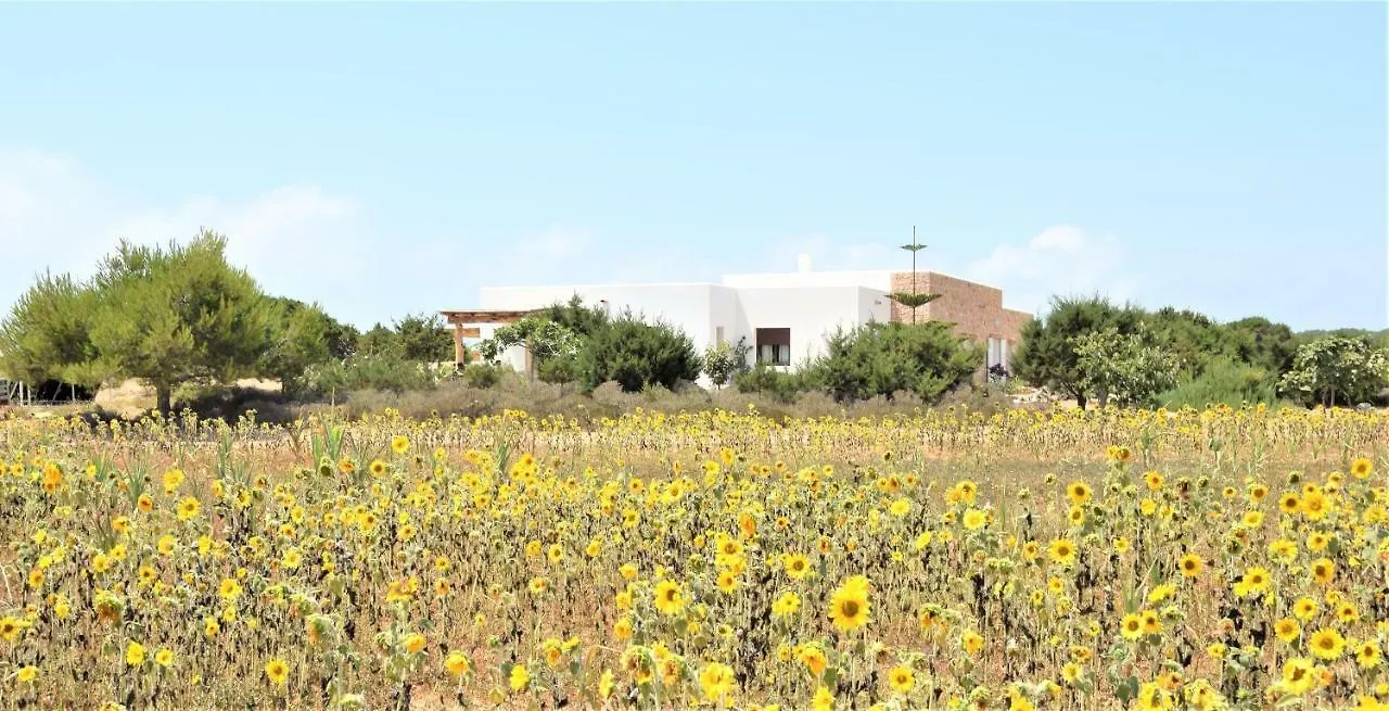 Holiday home Cansantidesmonestir La Mola Spain