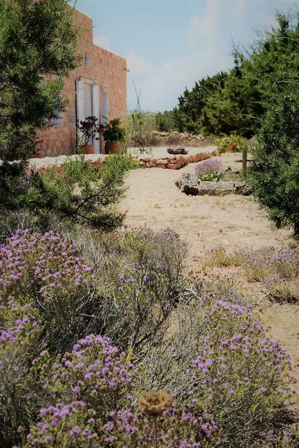 Holiday home Cansantidesmonestir La Mola