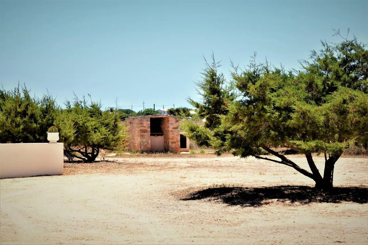 Holiday home Cansantidesmonestir La Mola Spain